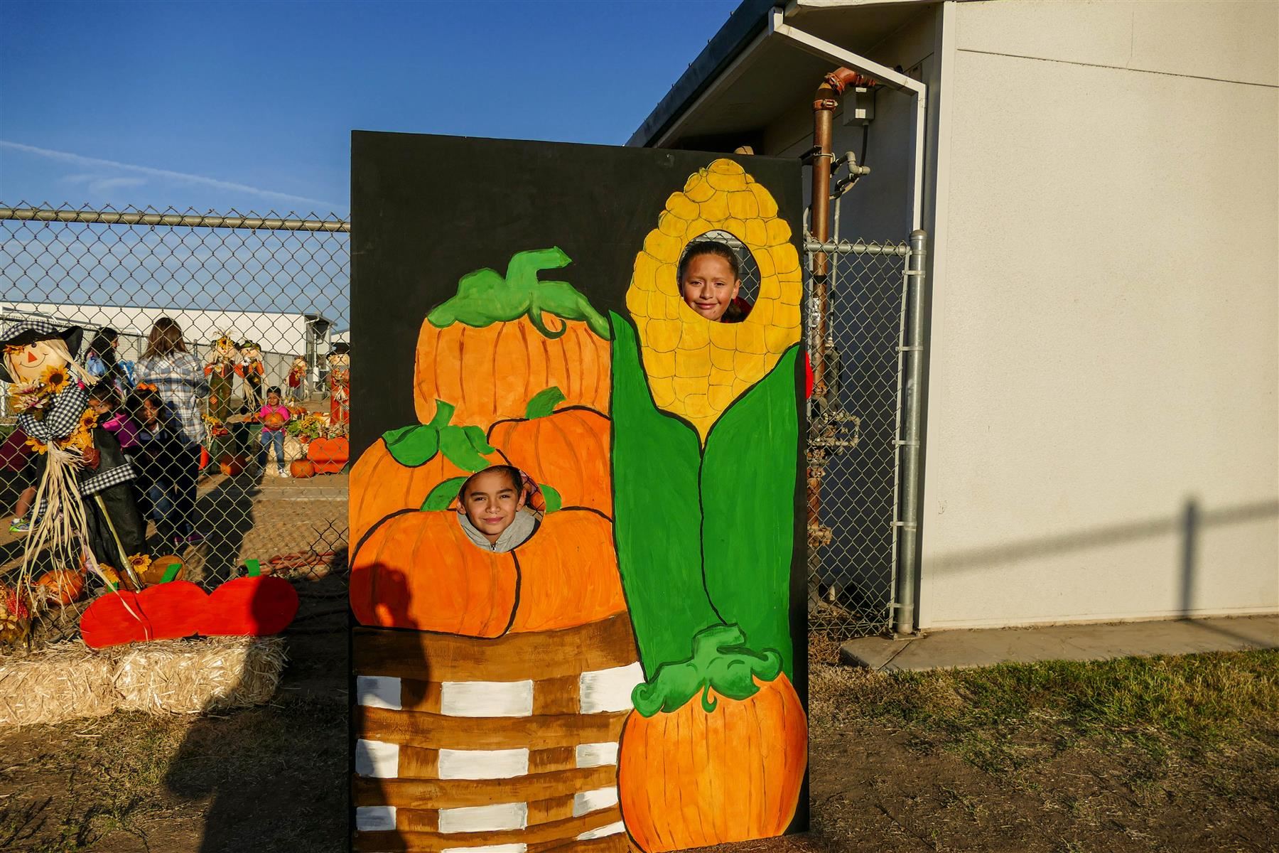 pumpkin day #4